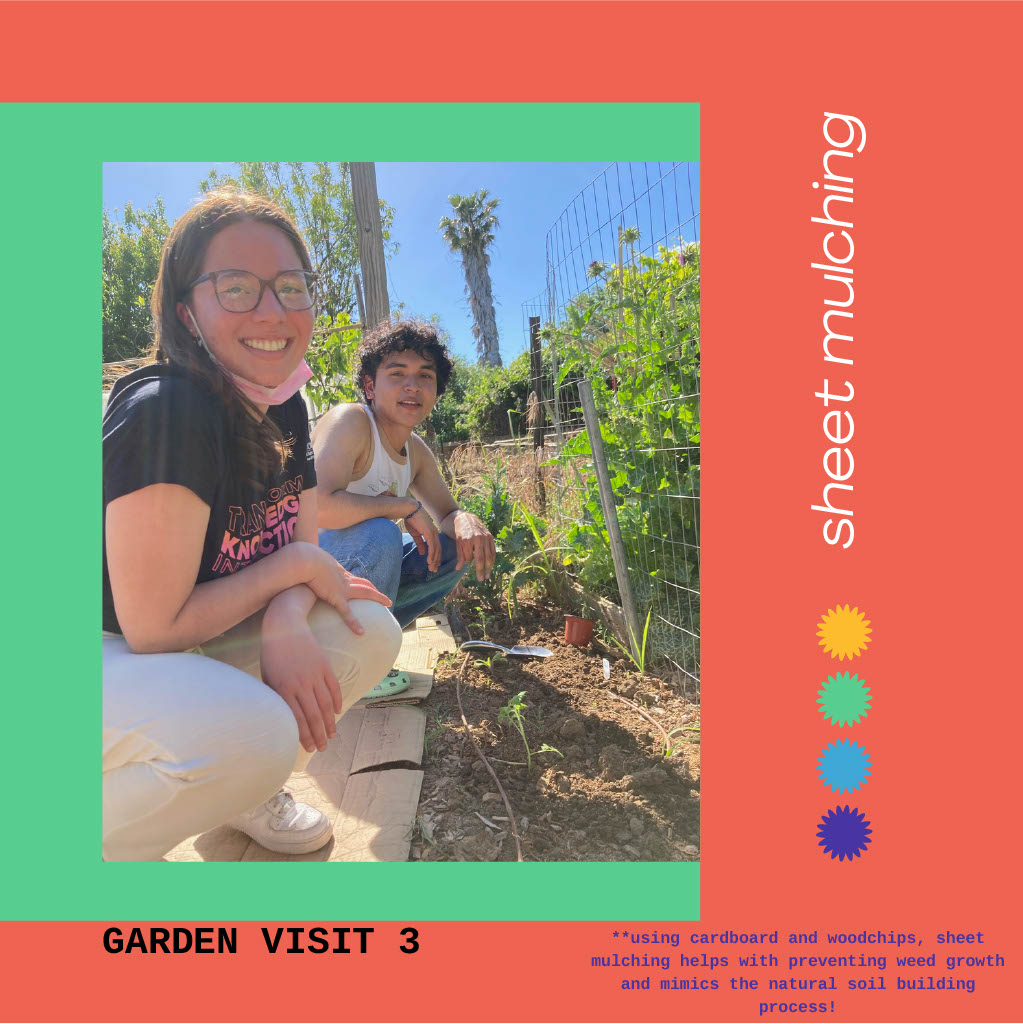 Garden Zine
