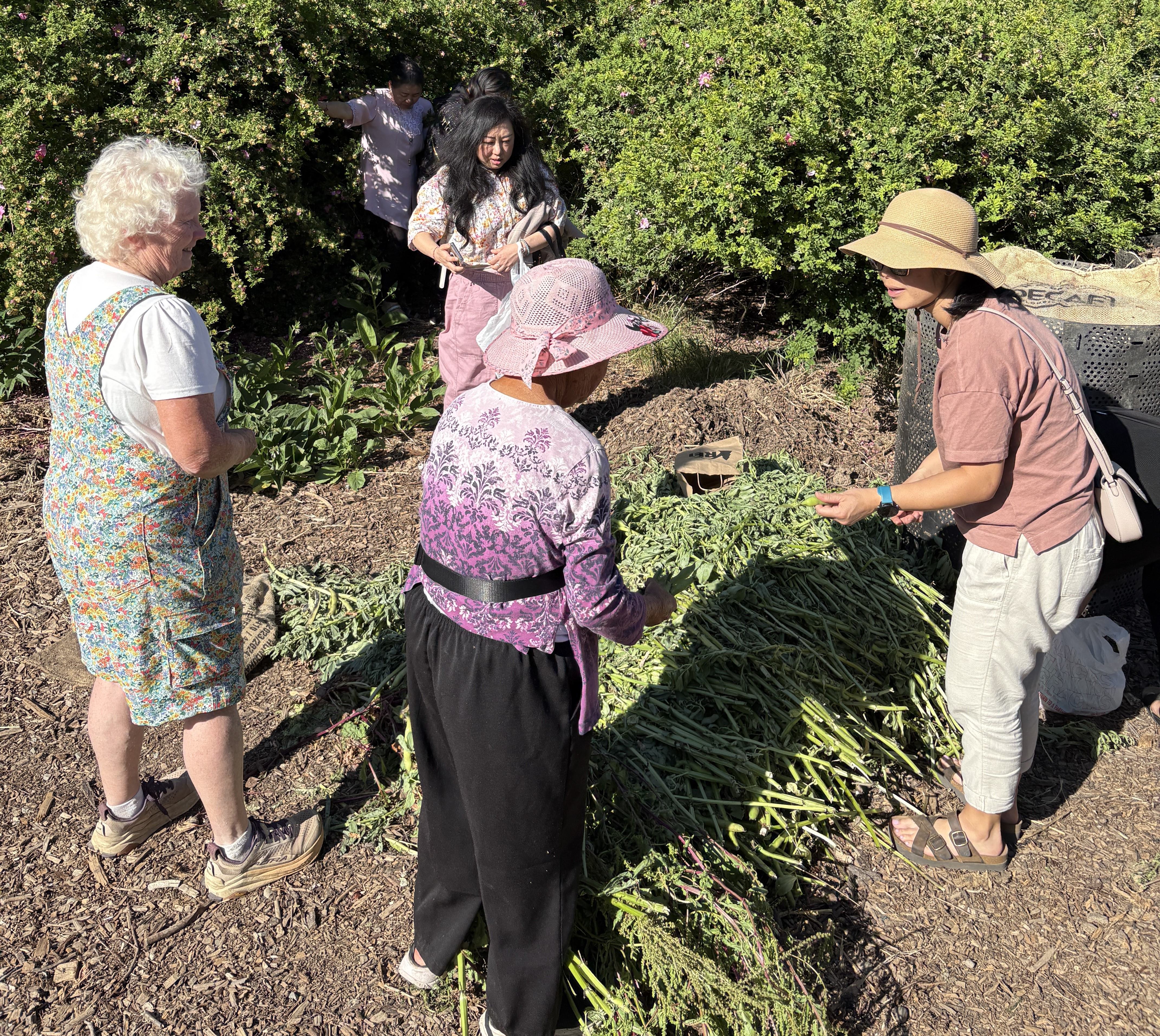 Participants having a visit and tour of the garden with Mao's plants