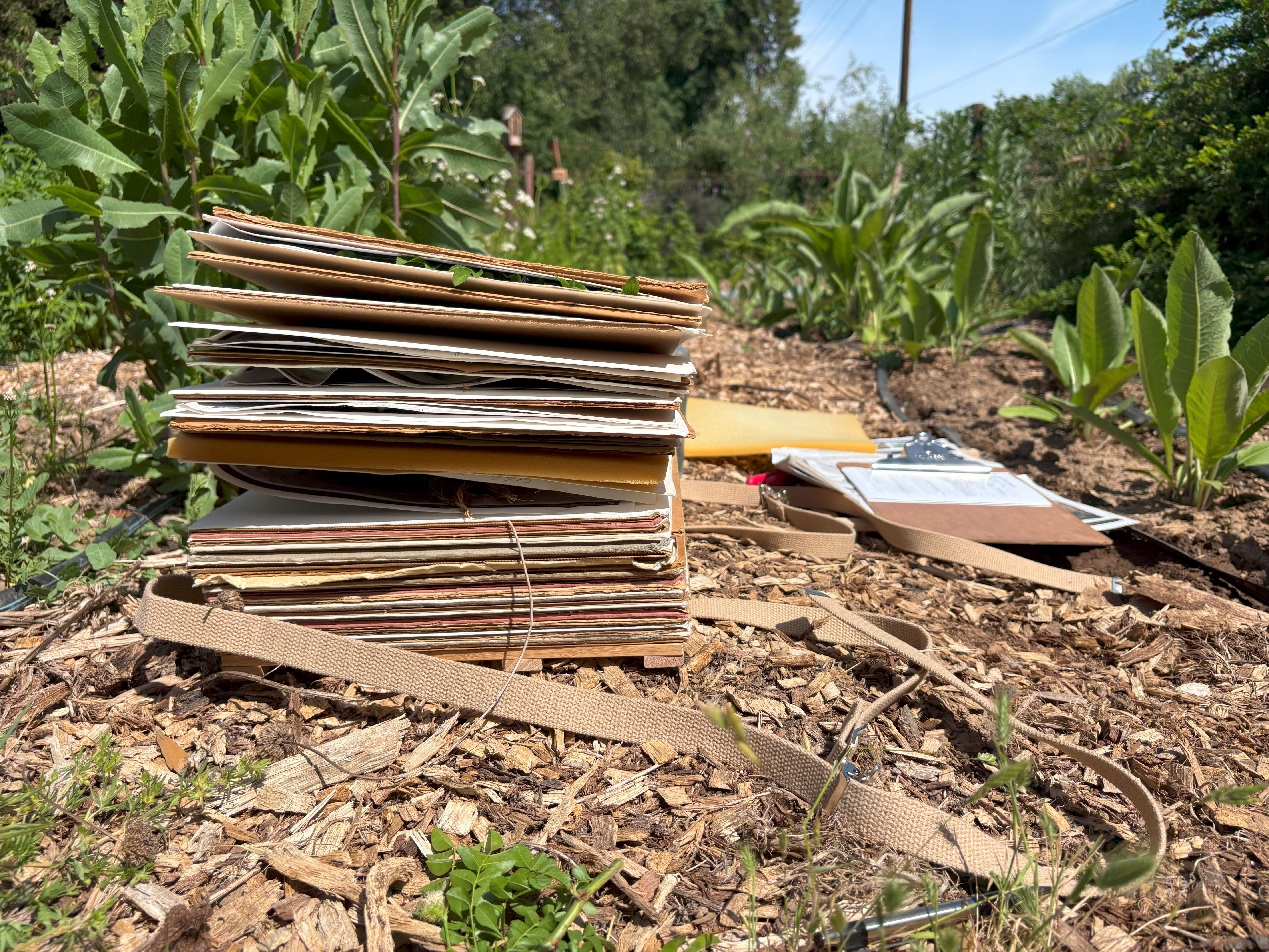 Herbarium collection kit