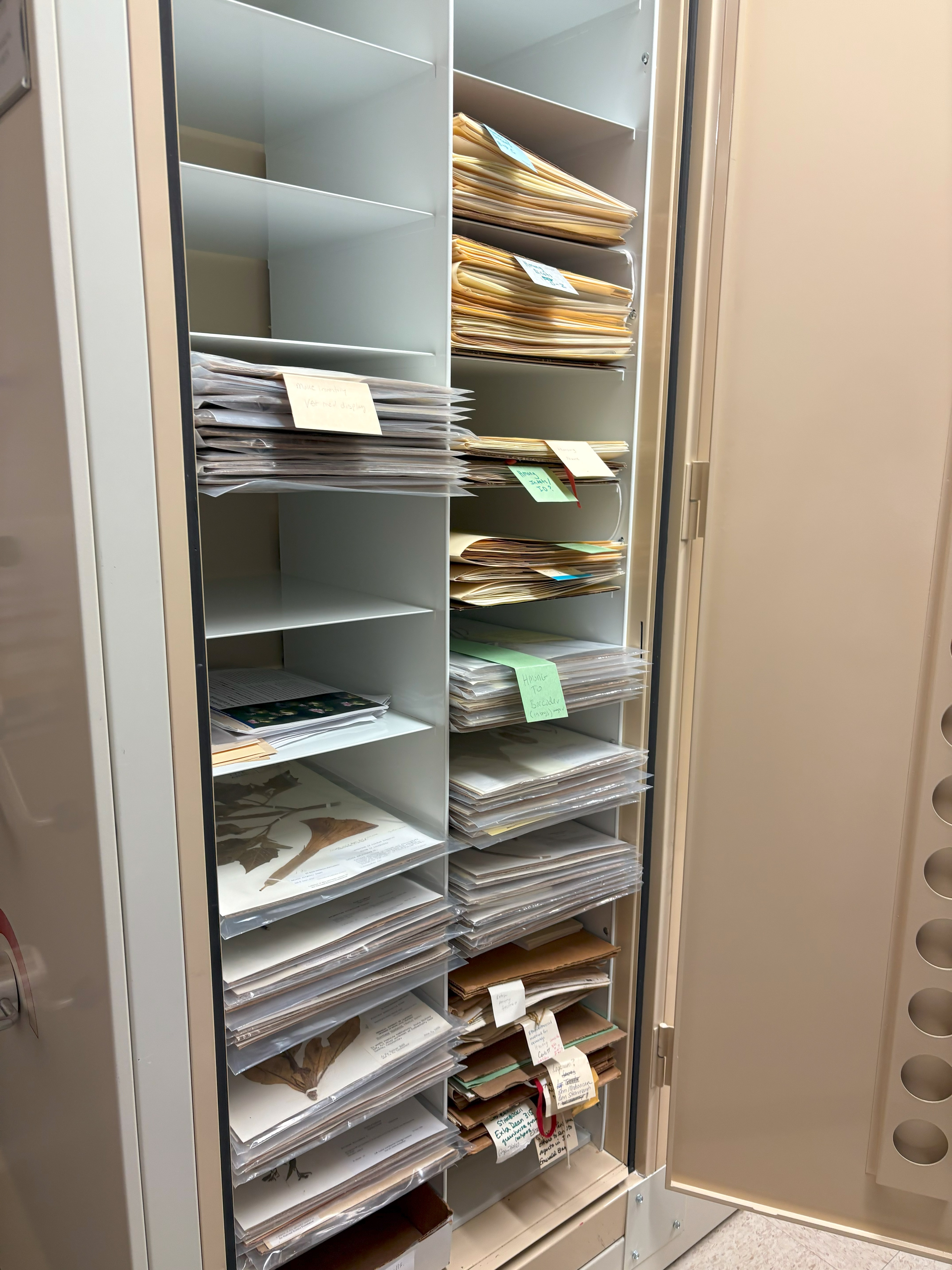 Herbarium library storage of Hmong plant collection