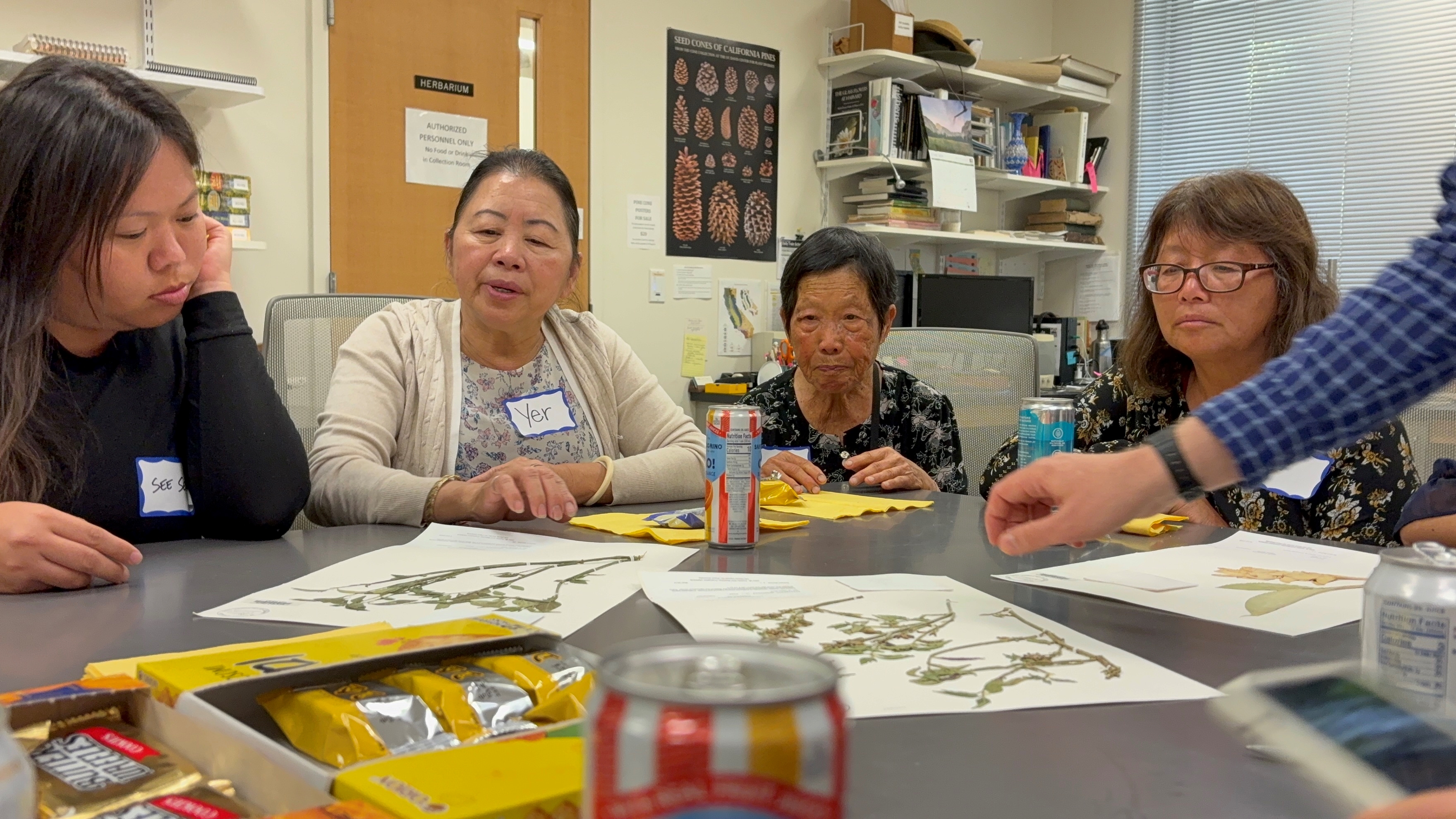 See See, Yer, Mao, and Ge looking at Hmong plant specimens