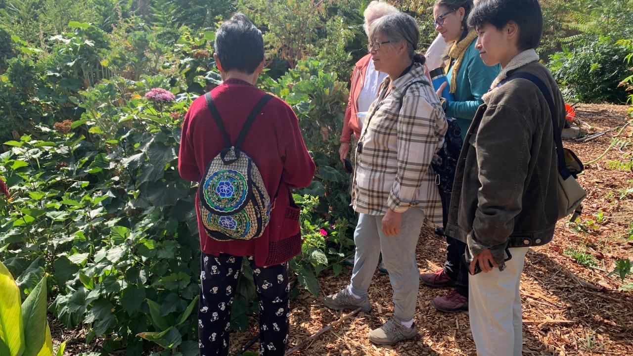 Photo of Mao and four others listening to her explain