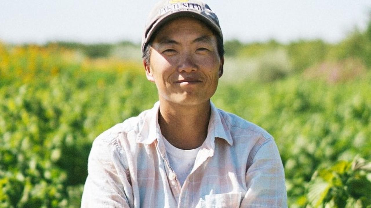 Farmer stands in a field of green crops