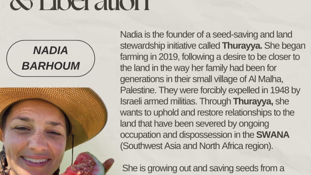 Nadia Barhoum flyer