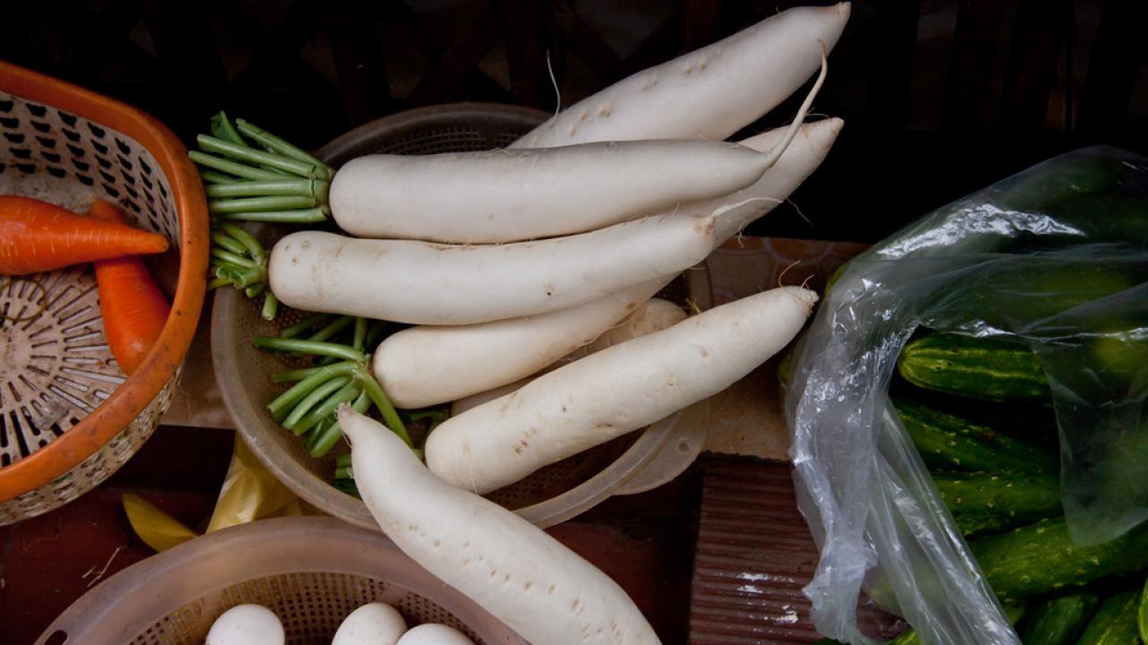 Daikon sits in a bowl among other vegetables