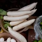 Daikon sits in a bowl among other vegetables